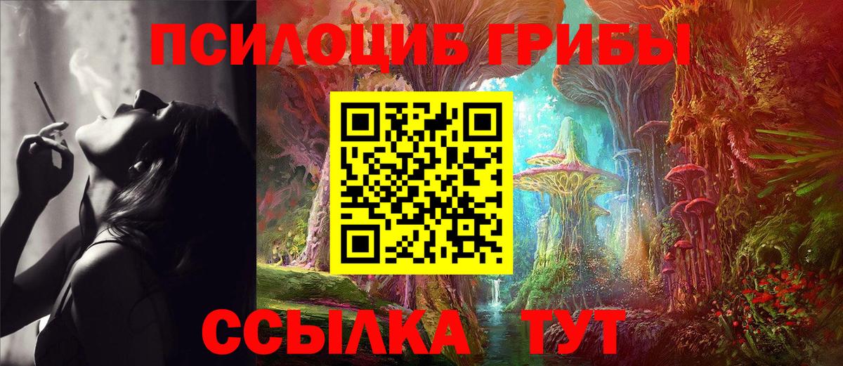 Новороссийск  продажа наркотиков  Вход с VPN  Псилоцибиновые грибы Cubensis  Галлюциногенные грибы Magic Shrooms 